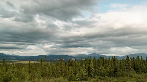 Rainbow over spruce forest and mountains in Alaska timelapse Stock-Footage 348019219