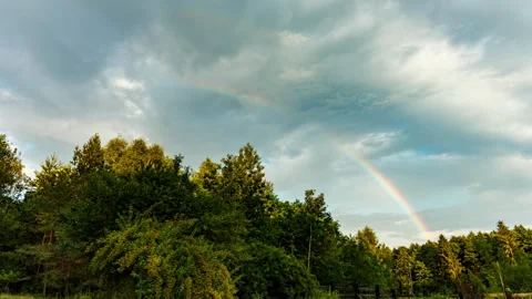 Rainbow over summer forest and meadow. Beautiful dramatic sky timelapse. Stock Footage 313490215