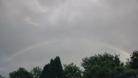 Rainbow over the trees. Stock Footage 96009491