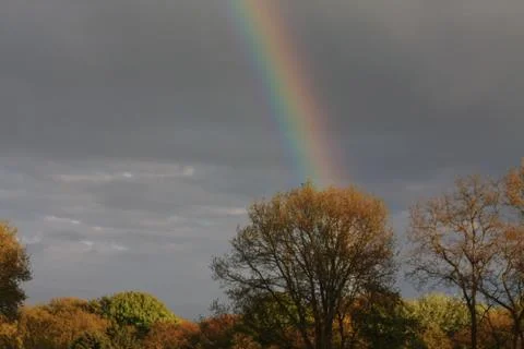 Rainbow over trees Stock Photos