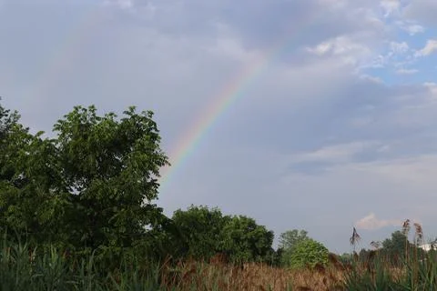 Rainbow over the trees Stock Photos