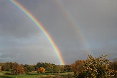 Rainbow over trees Stock Photos