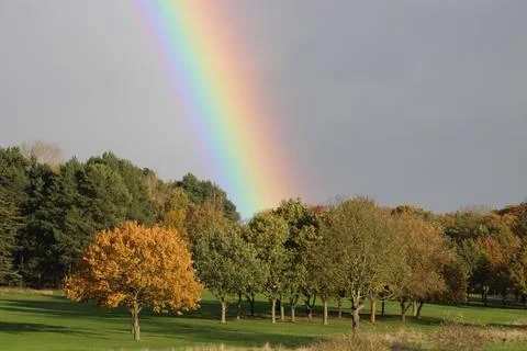 Rainbow over trees Stock Photos