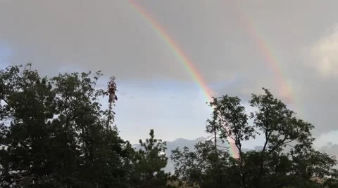 Rainbow over treetops Stock Footage 54675273