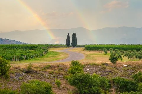 Rainbow over vineyard Stock Photos