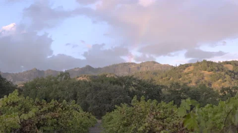 Rainbow over Vineyard zoomed in Stock Footage 56662082