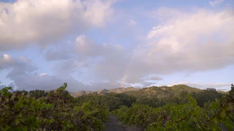 Rainbow over vineyard zoomed out Stock Footage
