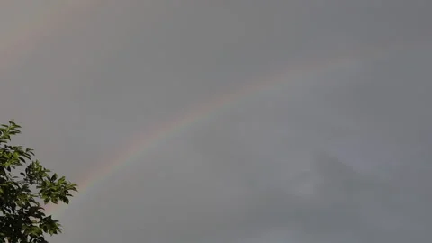 Rainbow Over A Wheat Field. Stock Footage 156725589