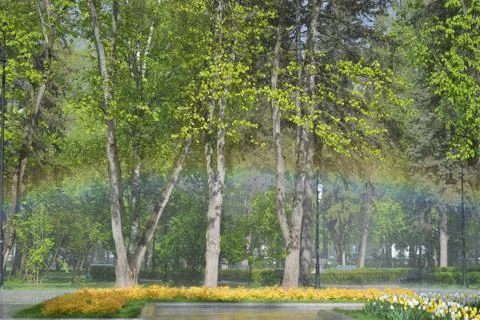 A rainbow in the park Foto stock