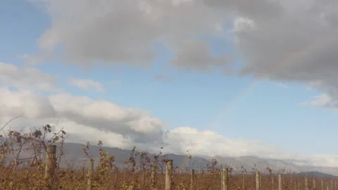 Rainbow In Partly Cloudy Sky Over Cape Winter Farm 4K Stock Footage 157876493