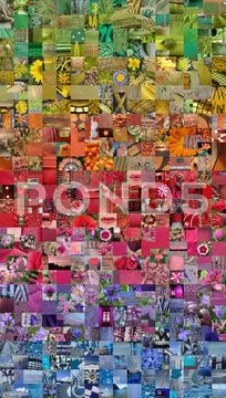 RAINBOW patchwork photomontage background Stock Illustration