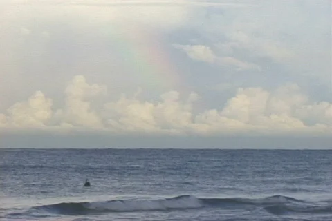 Rainbow &amp; Pelican Surf Stock-Footage 819751