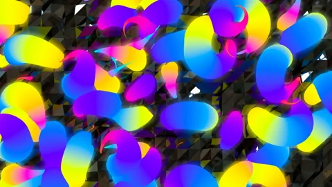 Rainbow petals Stock Footage 144282325