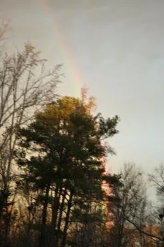 Rainbow Stock Photos