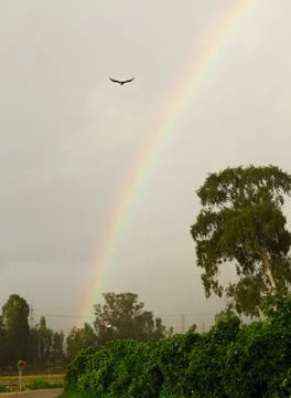 Rainbow Stock Photos