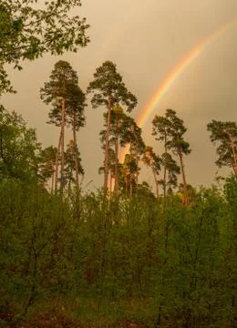 Rainbow Stock Photos