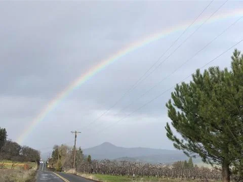 Rainbow Stock Photos