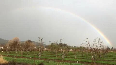 Rainbow Stock Photos