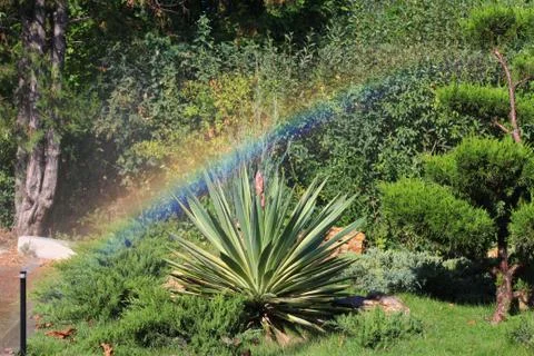 Rainbow Stock Photos