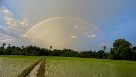 Rainbow Foto stock