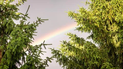 Rainbow Stock Photos