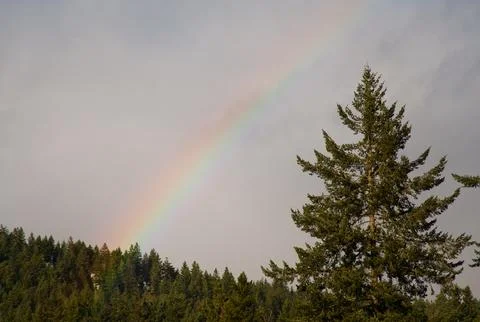 Rainbow 库存照片