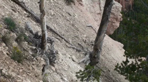 Rainbow Point 8 Stock Footage 669902