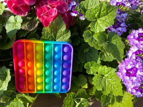 Rainbow pop it in flowers and leaves Foto stock