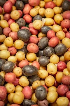 Rainbow Potatoes Foto stock