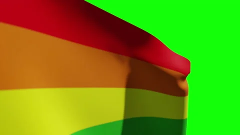 Rainbow Pride Flag Close Stock Footage 133538190