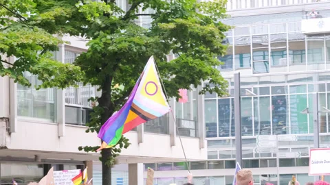 Rainbow pride flag progress with black, brown, and blue lines trans flag in.. Stock Footage 270852088