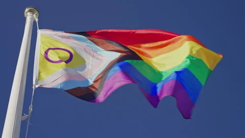 Rainbow Pride Flag Waving on Pole Slow Motion Stock Footage 316821751