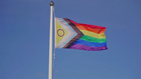 Rainbow Pride Flag Waving in the Sky Stock Footage 316821977