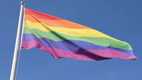 Rainbow pride flag waving in slow motion Stock Footage 344658821