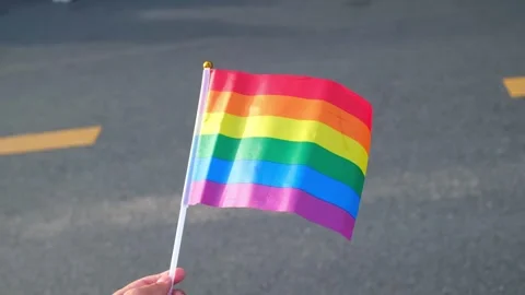 Rainbow Pride Flag Waving in the Wind Stock Footage 340036019