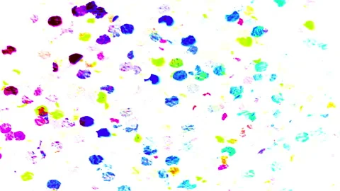 Rainbow prism glitter texture against white background Stock Footage 280217656
