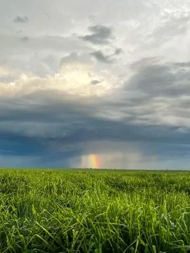 Rainbow rain Stock Photos
