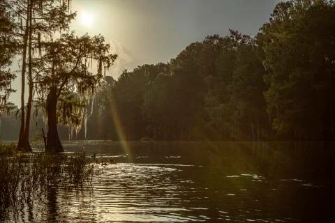 Rainbow Rays Stock Photos