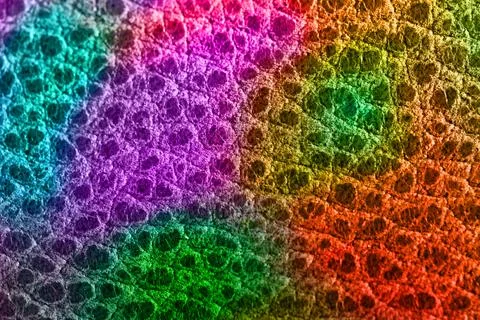 Rainbow Reptile Scale Macro Texture with Iridescent Neon Color Gradient Patte Stock Illustration