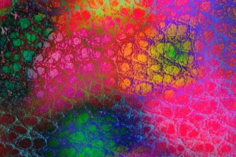Rainbow Reptile Scale Macro Texture with Iridescent Neon Color Gradient Patte Illustrazione stock