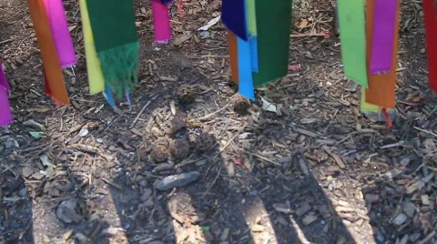 Rainbow Ribbons Tilt Video stock 808628