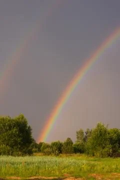 Rainbow rises over the forest Stock Photos