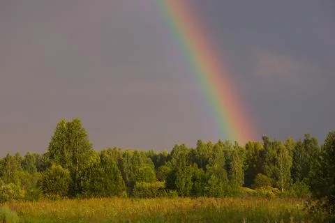 Rainbow rises over the forest Stock Photos
