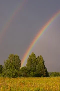 Rainbow rises over the forest Stock Photos