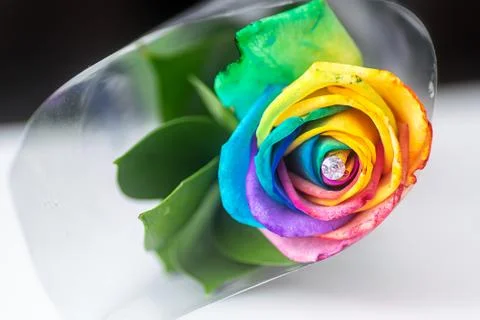Rainbow rose with a gem in the middle Stock Photos