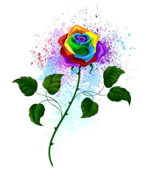 Rainbow rose Stock Illustration
