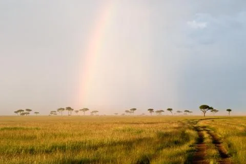 Rainbow in the savannah Stock-Fotos