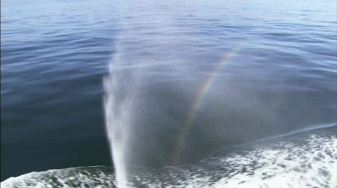 Rainbow in the sea Video stock 793366