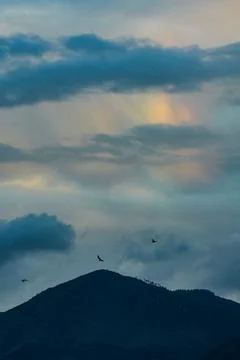 A rainbow by the seaside. Photos