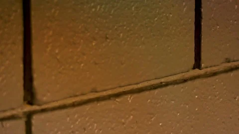 Rainbow Shadow Over Cinder Block Wall 4 Stock Footage 85823380